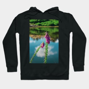 Purple flowers on the lake shore - Cragside Hoodie